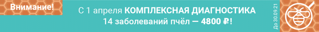 bee21_vetlaba2@2x_001.png bee21_vetlaba2@2x_001.png