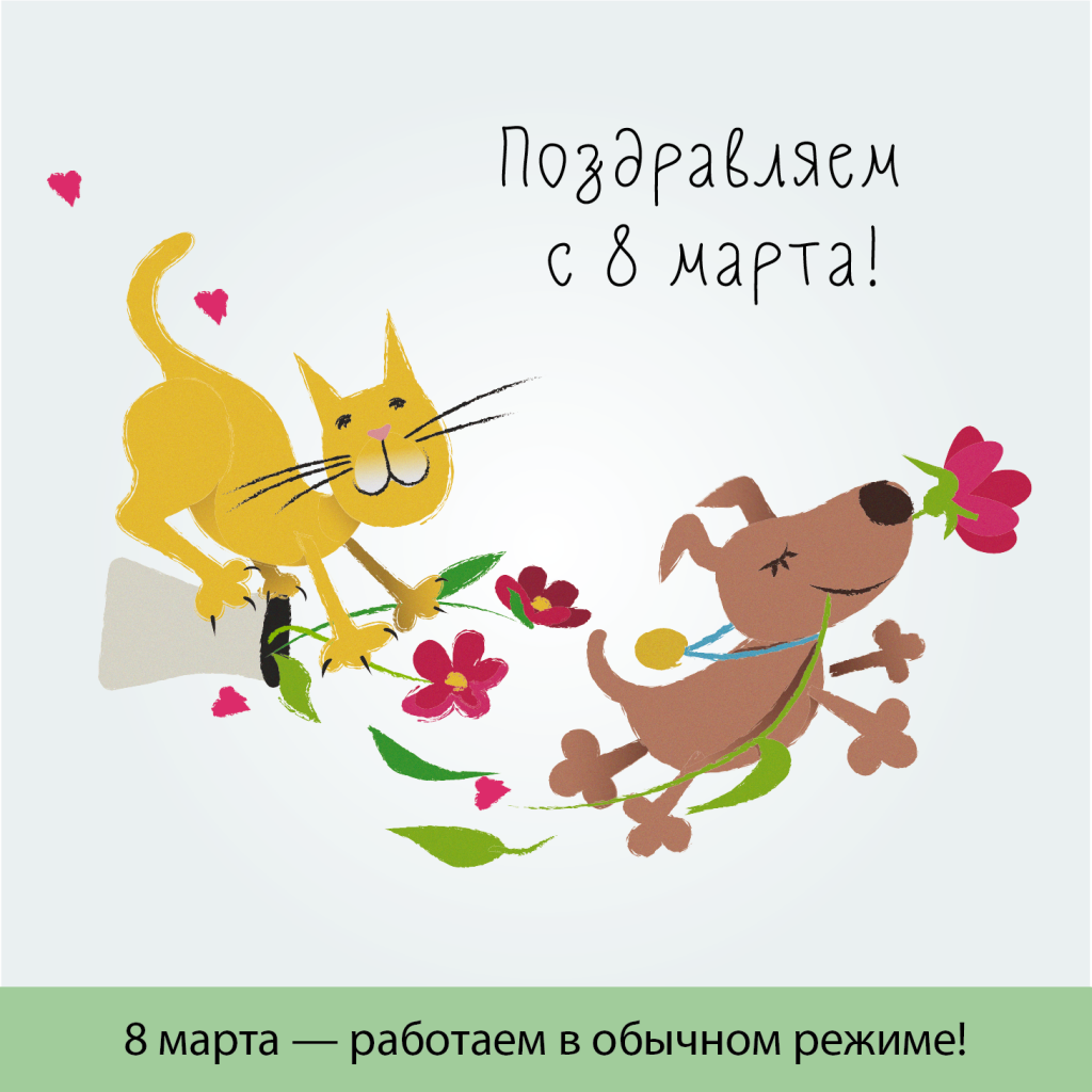 0803021-vk.png