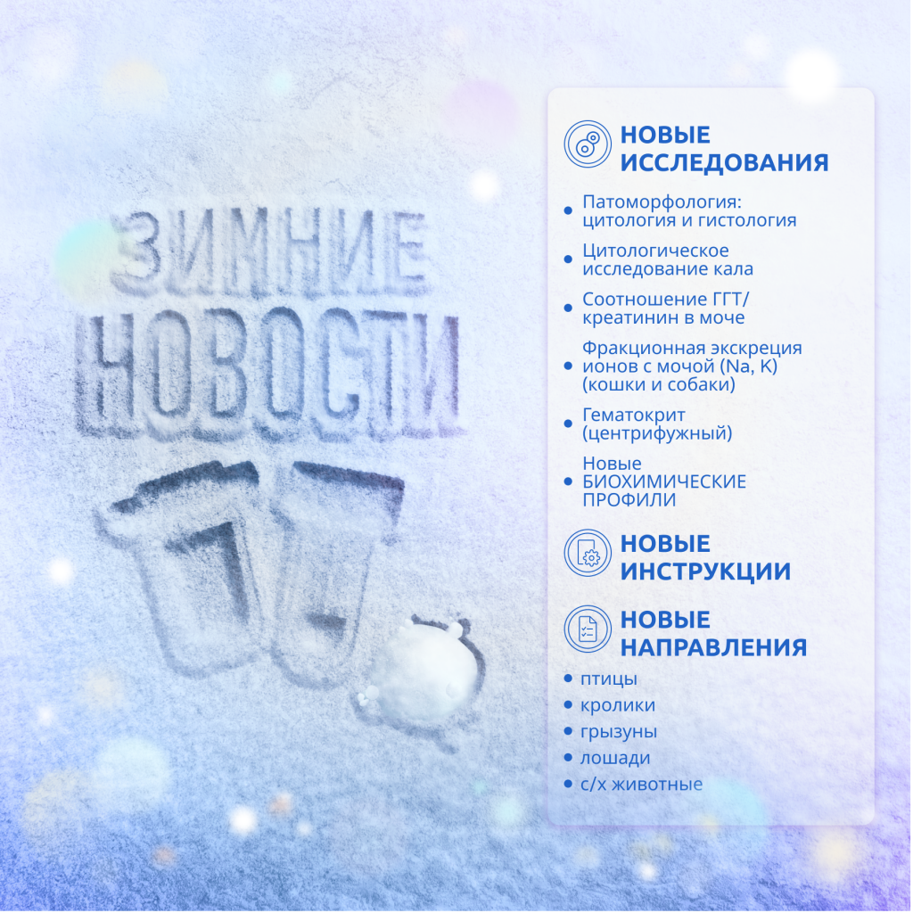 1800x1800_winterNews2024.png