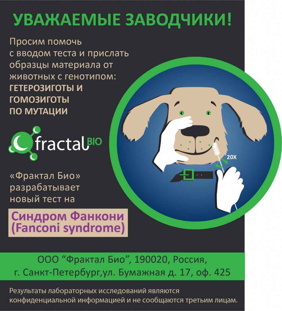Фанкони.jpg