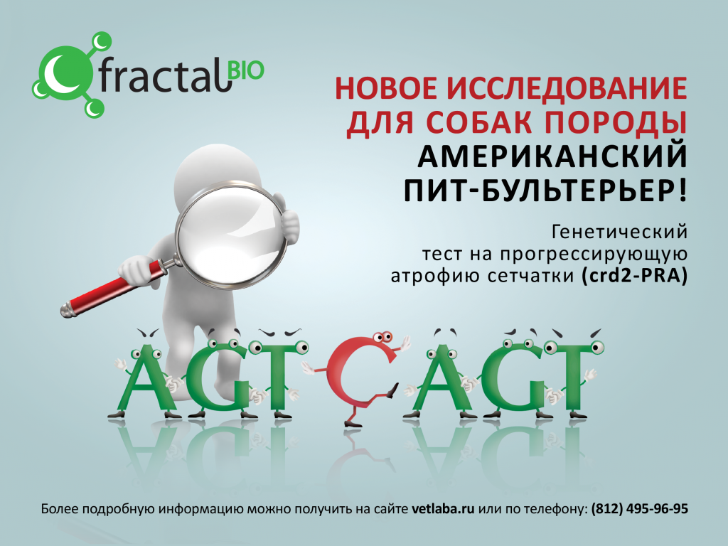 crd2.png crd2.png