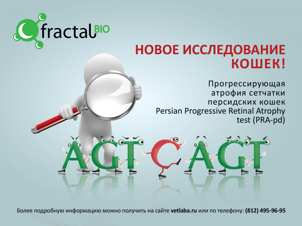 PRA-pd-01.png PRA-pd-01.png