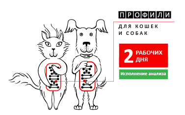 profile_new_web (1).png profile_new_web (1).png