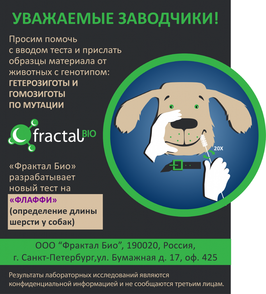 3dog-analysis.png