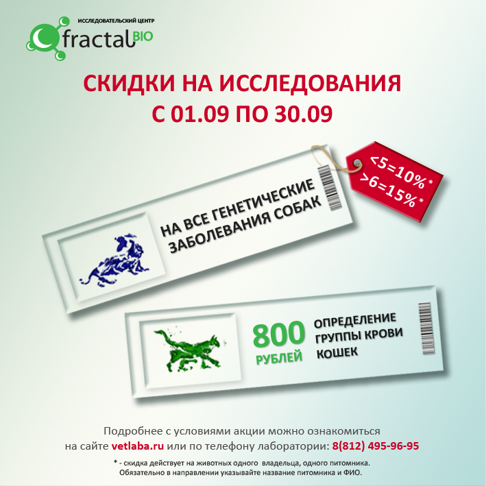 форум.png
