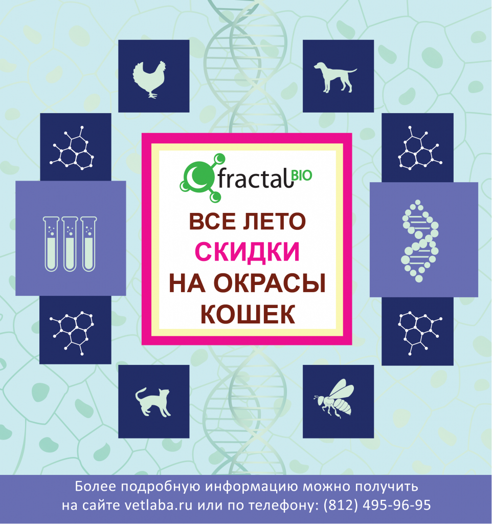 sale_vialet-011-01.png