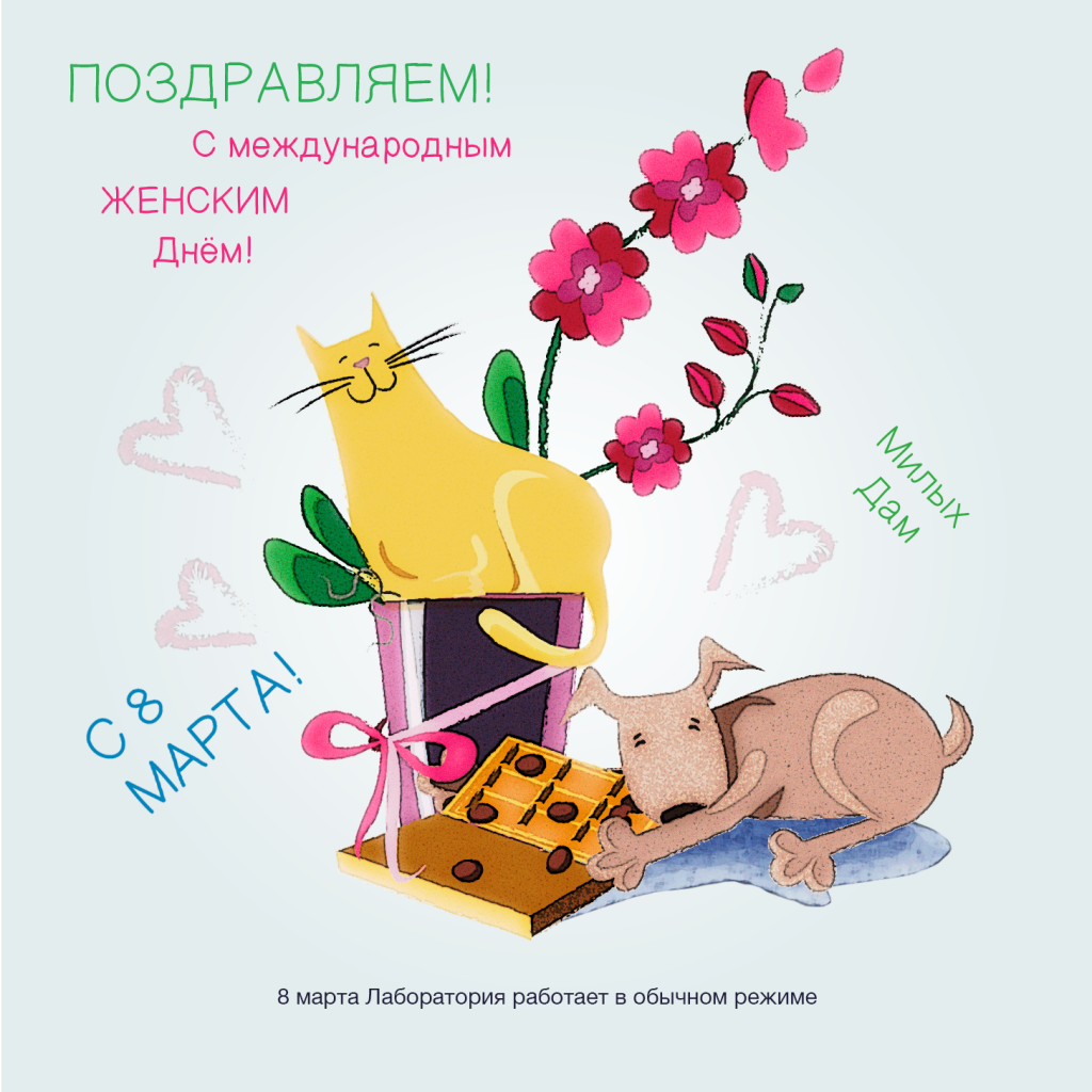 08022022_VK_001.png 08022022_VK_001.png